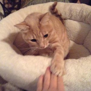 Meet your Posher, Kate